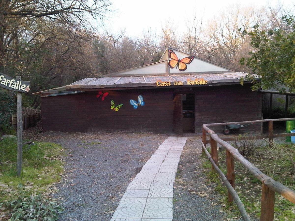 Holiday home Prato Zafferana Etnea